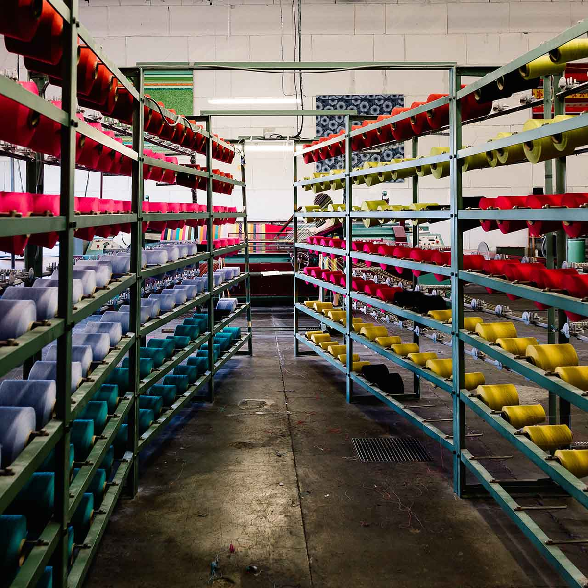 Rencontre avec nos designers