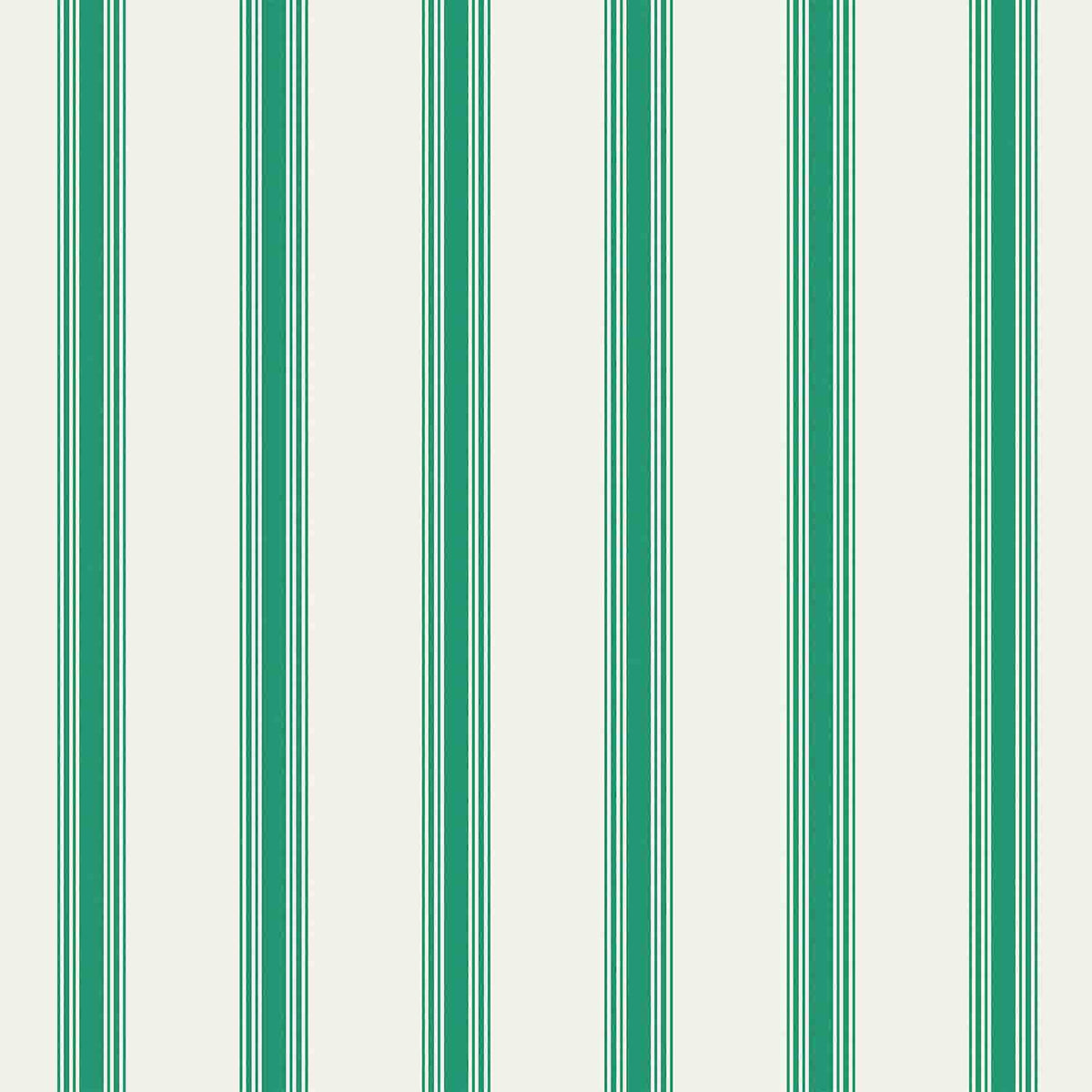 NAPPE COUTIL VERT