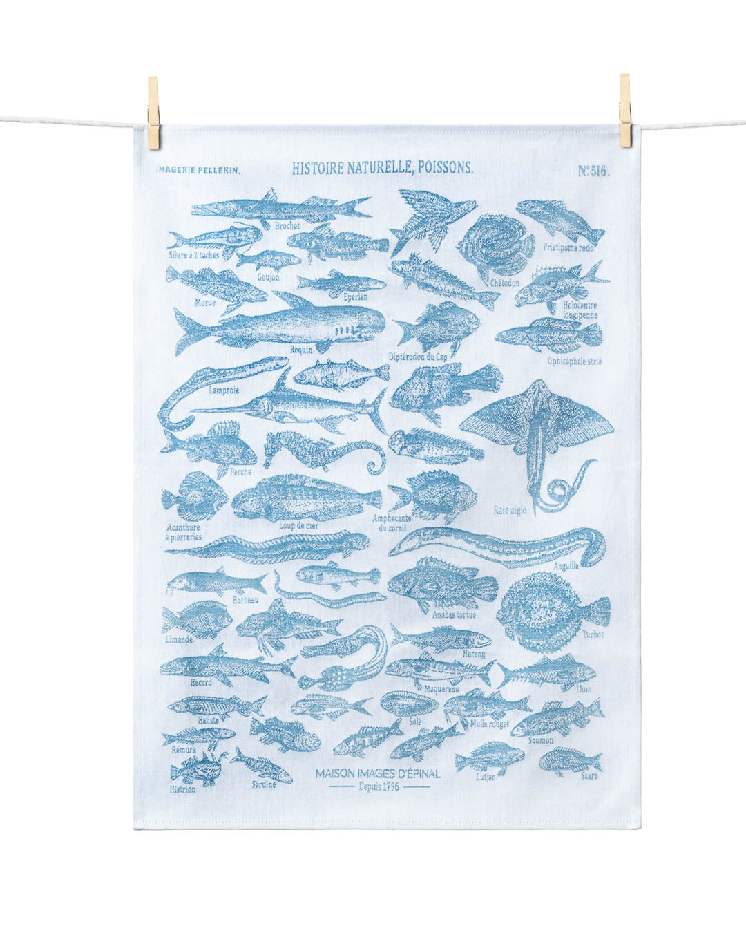 TORCHON HISTOIRE NATURELLE - POISSONS
