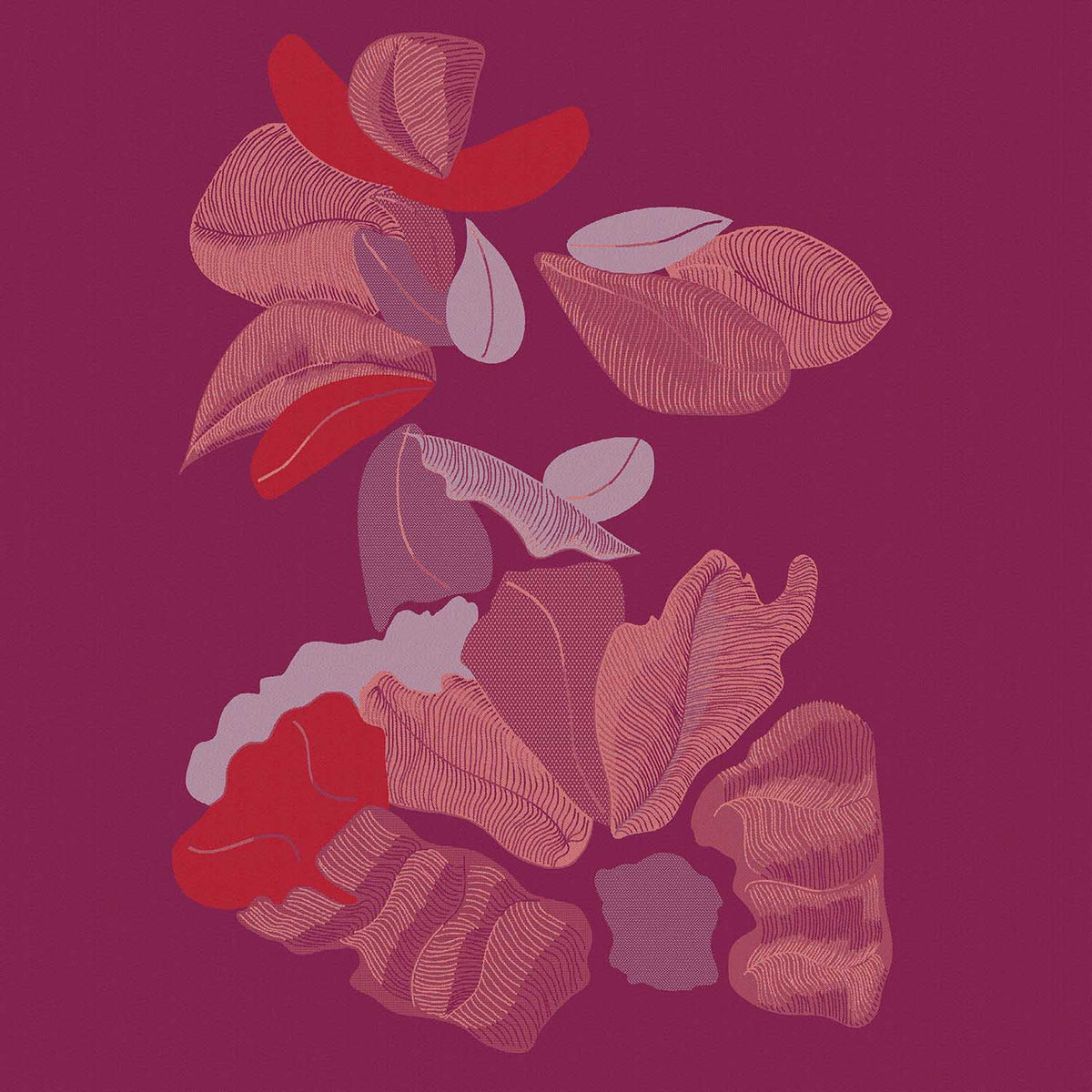 NAPPE PÉTALE