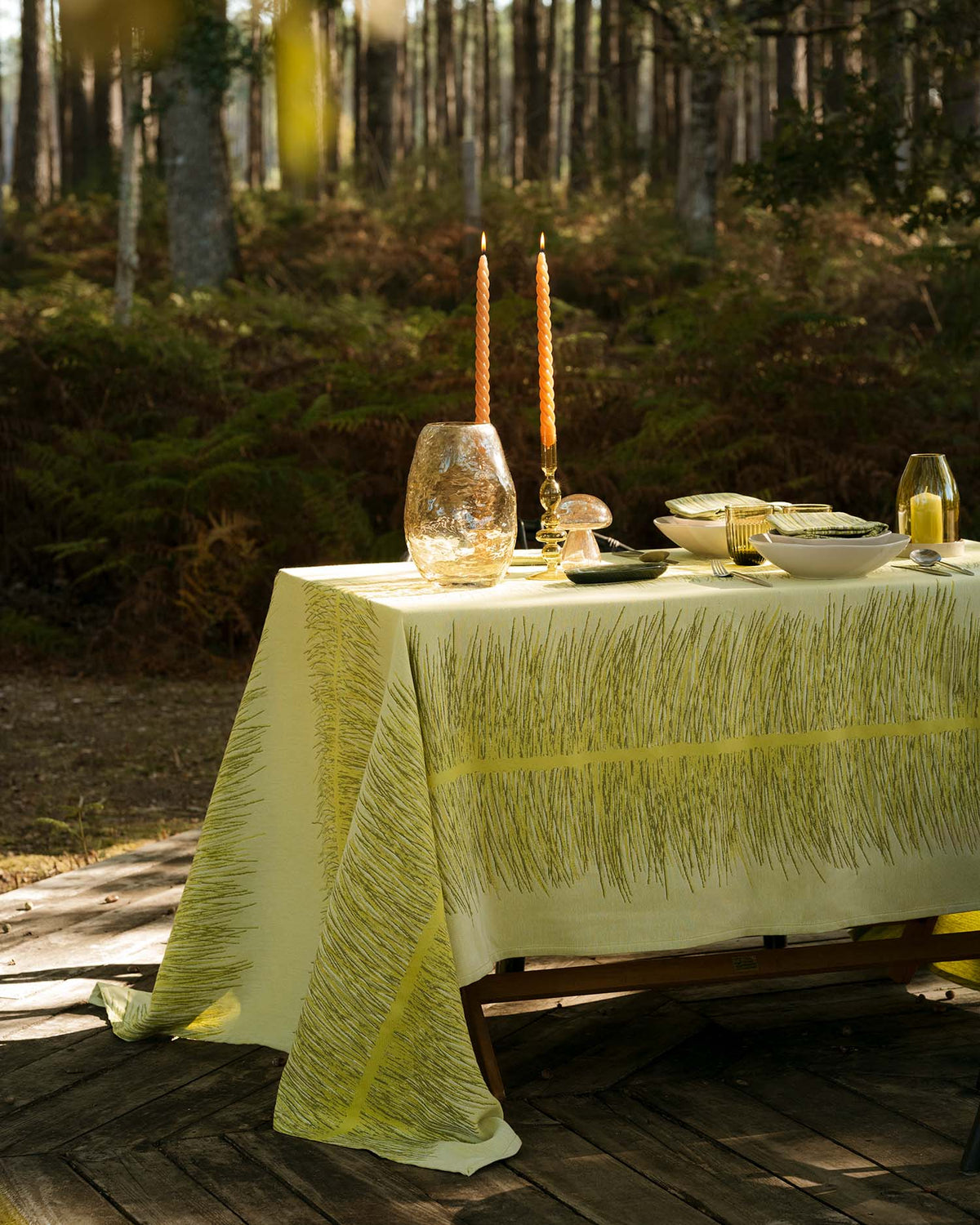 NAPPE AIGUILLE