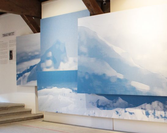 exposition musee basque blue landscape barbara asei dantoni