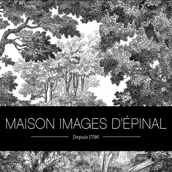 LOGO MAISON IMAGES D'EPINAL